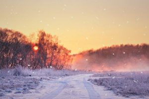 移居中国香港，子女实现教育职业双规划！