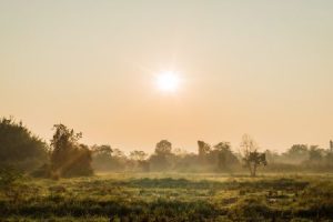 移民新西兰，六分制要满足什么要求？