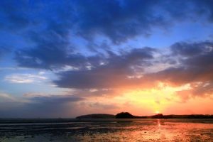 这么多非盈利项目，为何推荐葡萄牙？